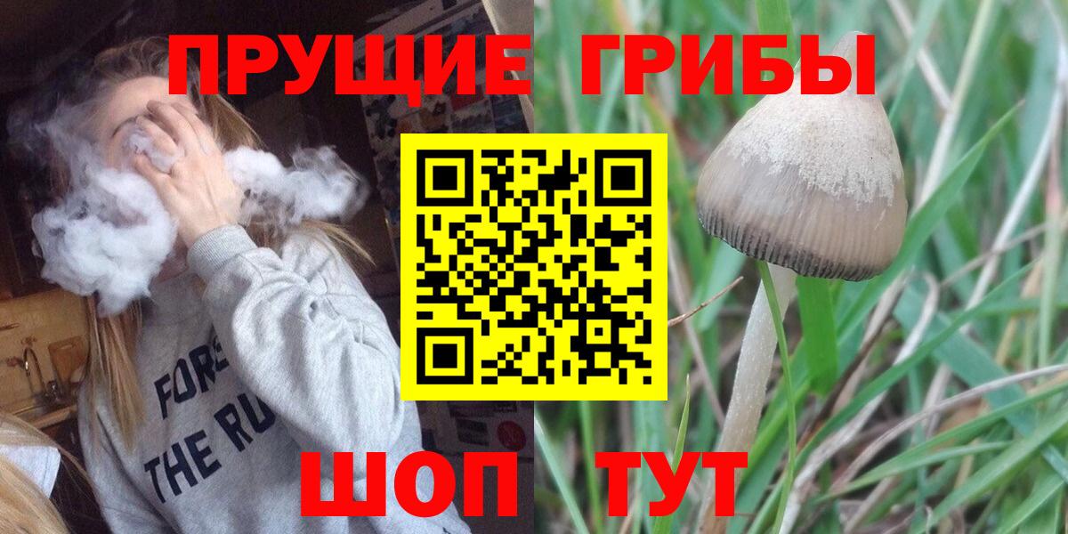 Псилоцибиновые грибы ЛСД  наркота  Удомля  Вход с VPN 