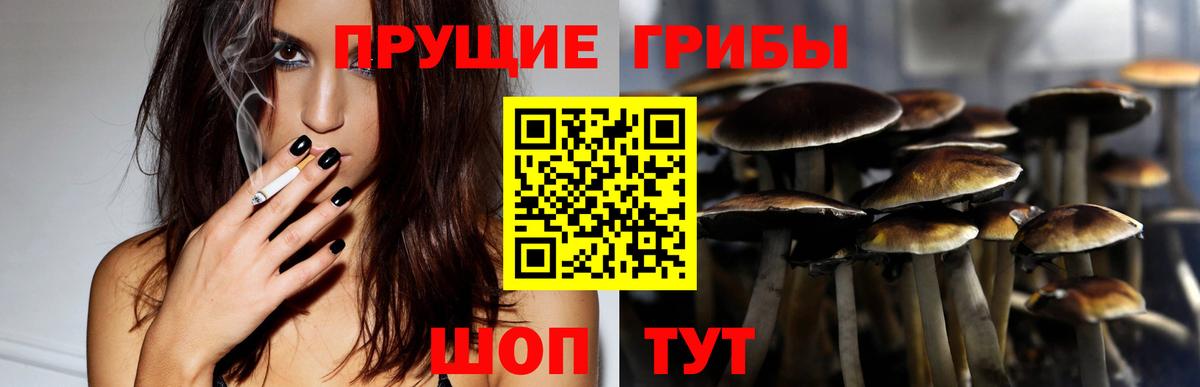 Галлюциногенные грибы мухоморы Удомля